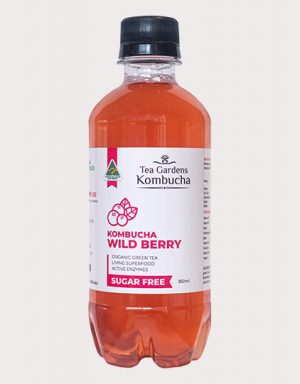 Tea Gardens Kombucha Wild Berry 350ml