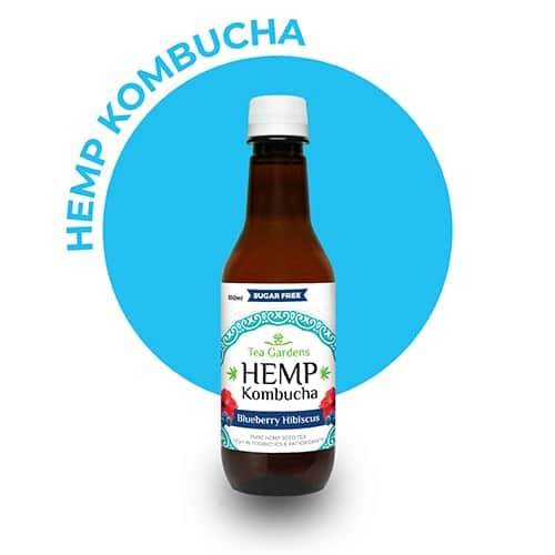 Buy Hemp Kombucha Online