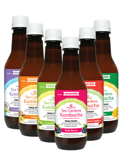 Tea Gardens Kombucha 6 flavours