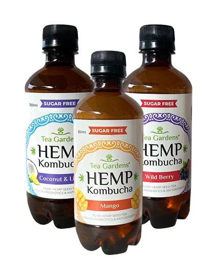 Why You Need Hemp Kombucha!