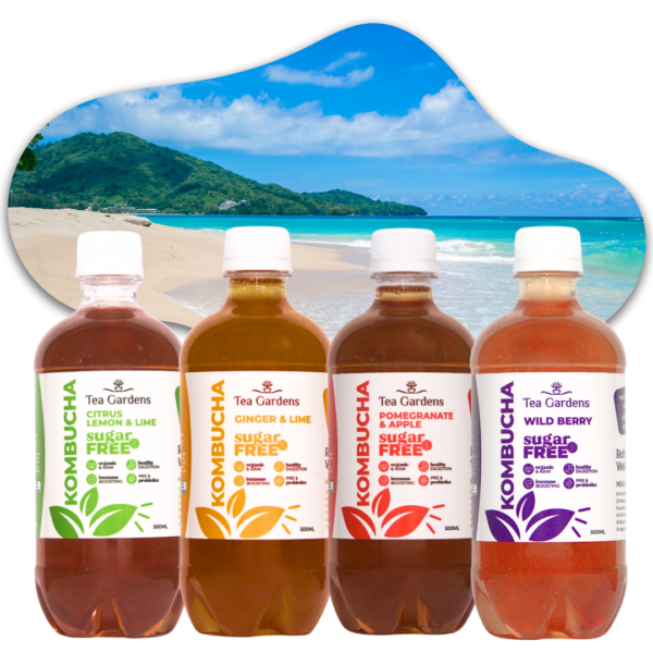 500ml Kombucha