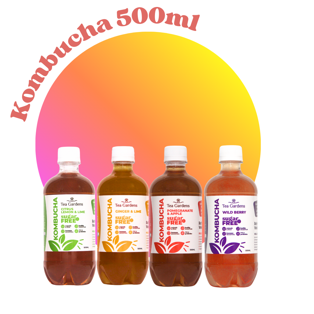 Kombucha 500ml Bubble Hover (1) Buy Essential Amino Acids Drink Online